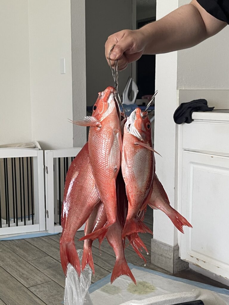 KakaoTalk_20250527_090540585